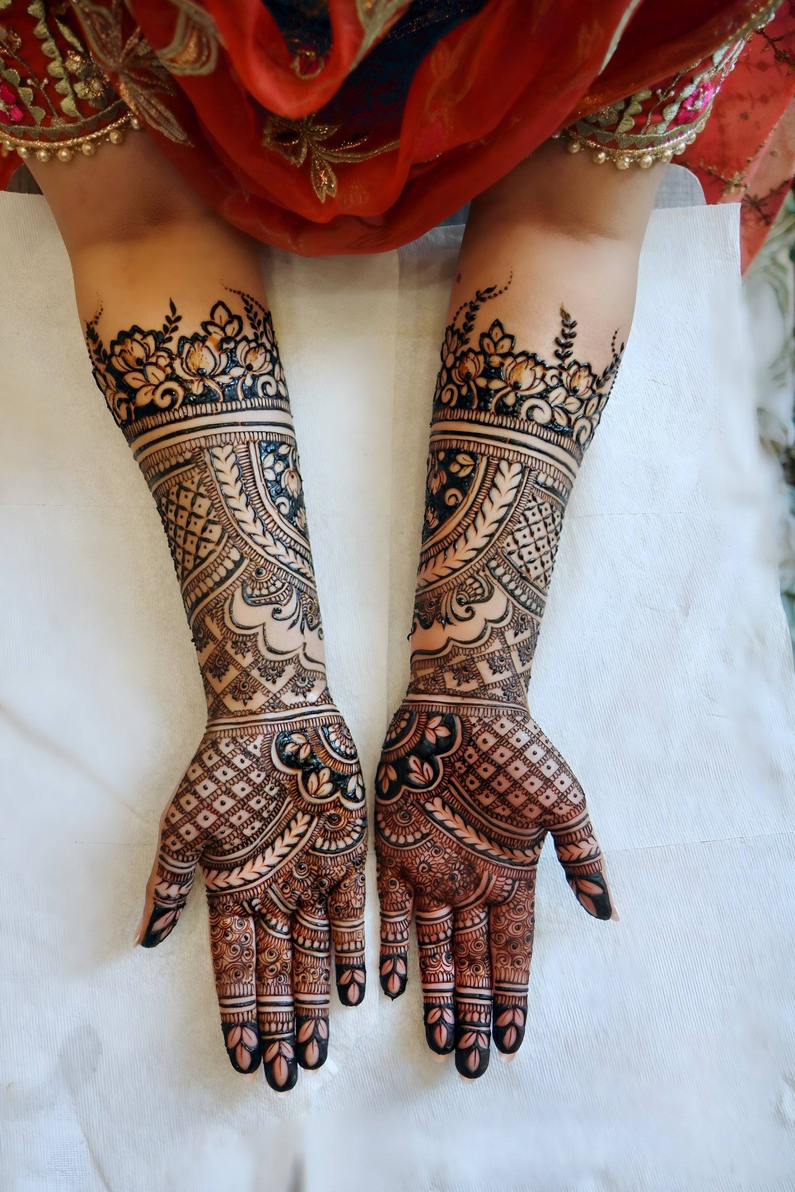 Full bridal henna on arms with floral borders on a white backdrop
