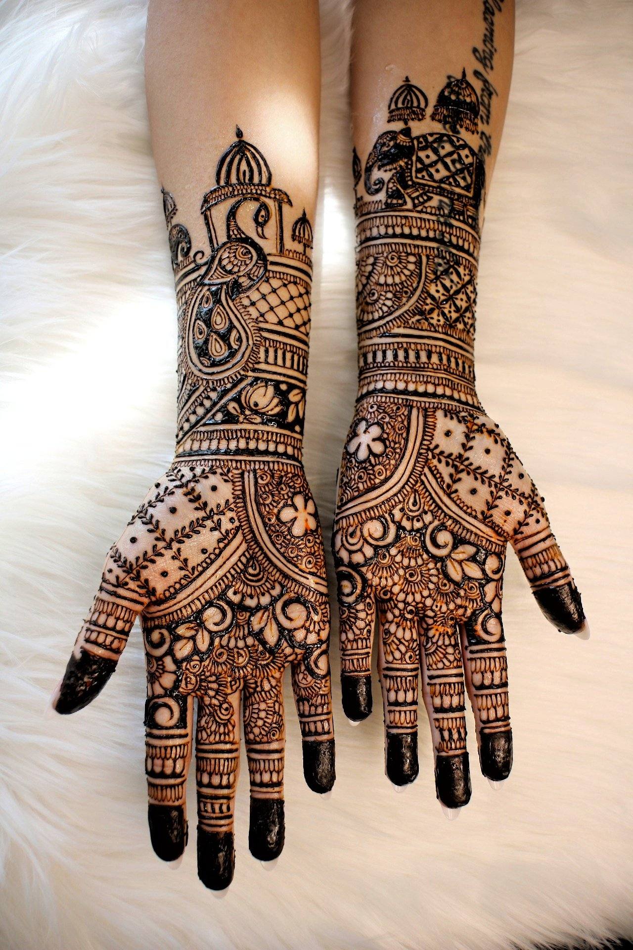 Bridal henna on arms with dome and floral motifs